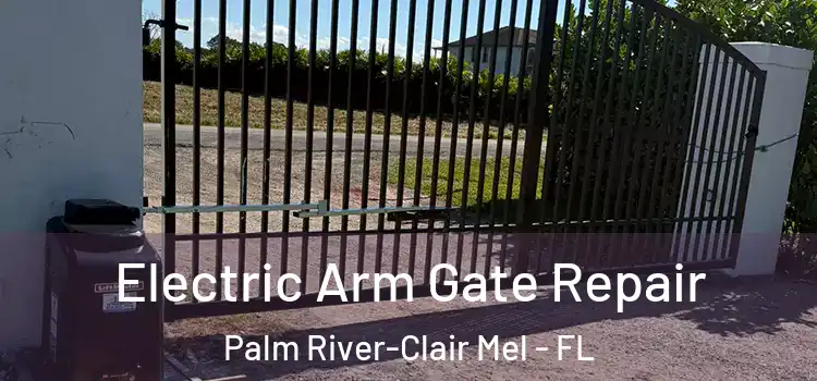 Electric Arm Gate Repair Palm River-Clair Mel - FL