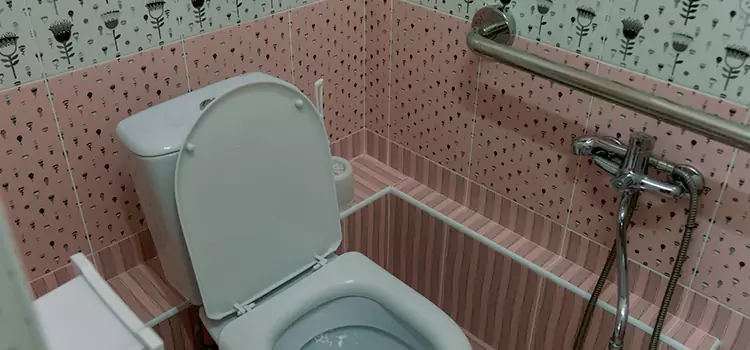 Meeting Diverse Needs With Accessible Restroom Solutions in Palm River-Clair Mel, FL