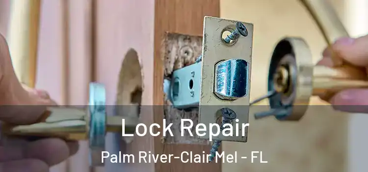 Lock Repair Palm River-Clair Mel - FL