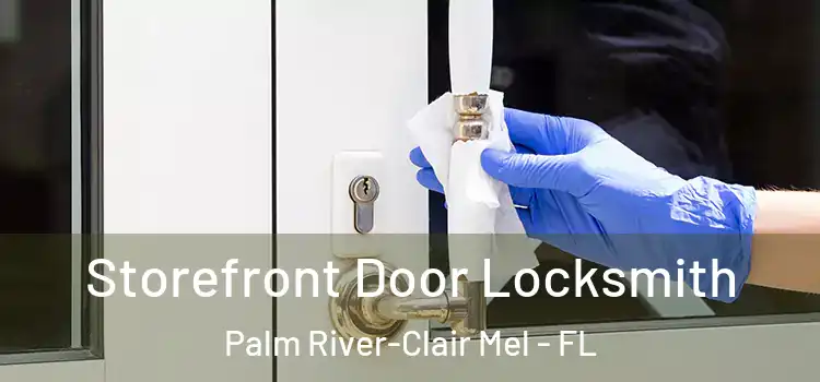 Storefront Door Locksmith Palm River-Clair Mel - FL